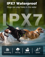 PETURE IP67 waterproof dog collar ready for rain, mud and swimming.