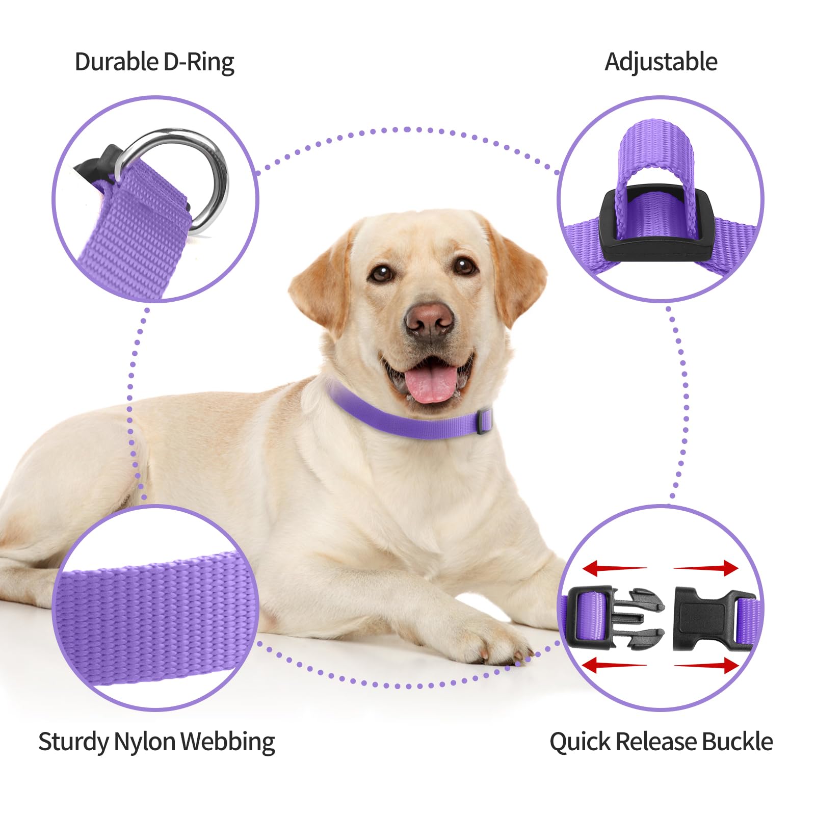 PETURE replacement collar blue buckle close-up highlights versatility.