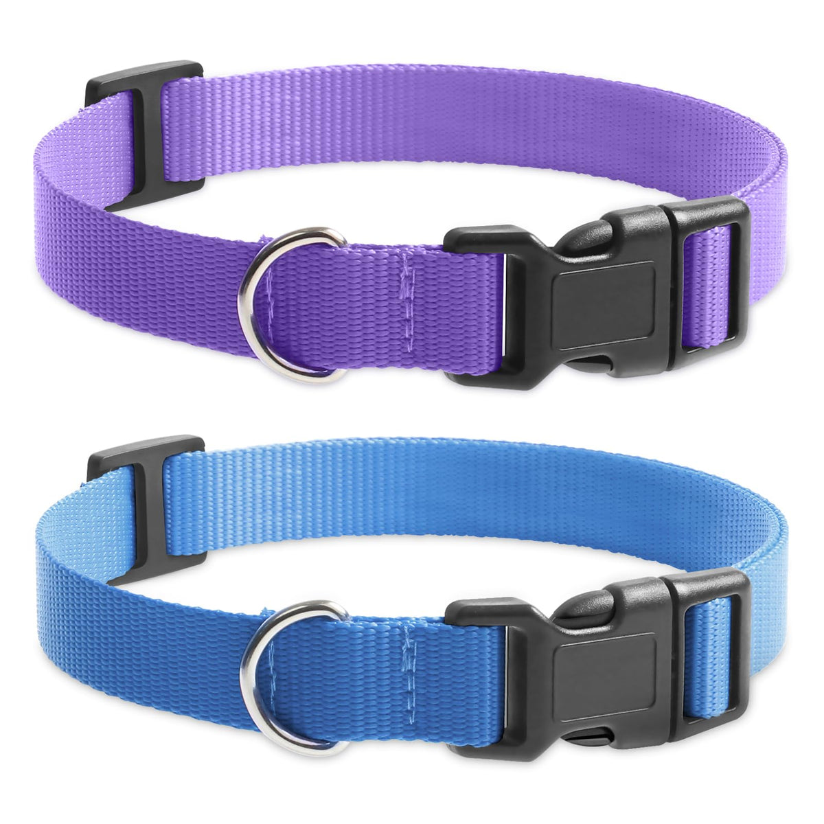 PETURE replacement collar purple buckle close-up for quick on-off training.