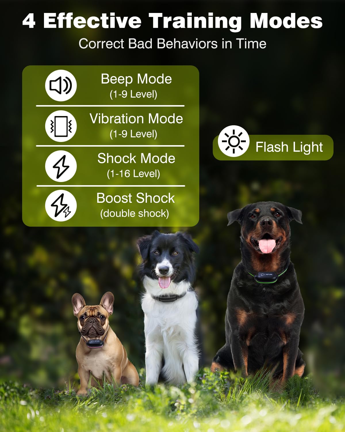 PETURE training collar remote shows 3300ft range for outdoor sessions.