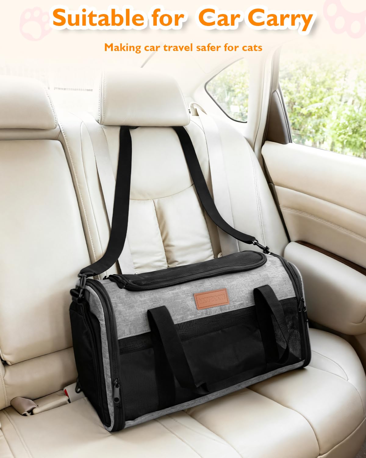 PETUX airline compatibility note aids in pre-travel planning and vet visits.