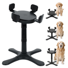 PETVENTURE adjustable dog bowl stand setup enables elevated feeding for easier dining.