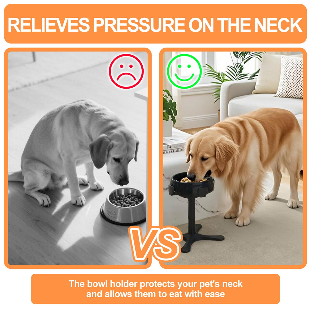 PETVENTURE 15-degree tilt design reduces neck strain while eating.