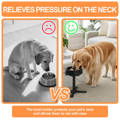 PETVENTURE 15-degree tilt design reduces neck strain while eating.