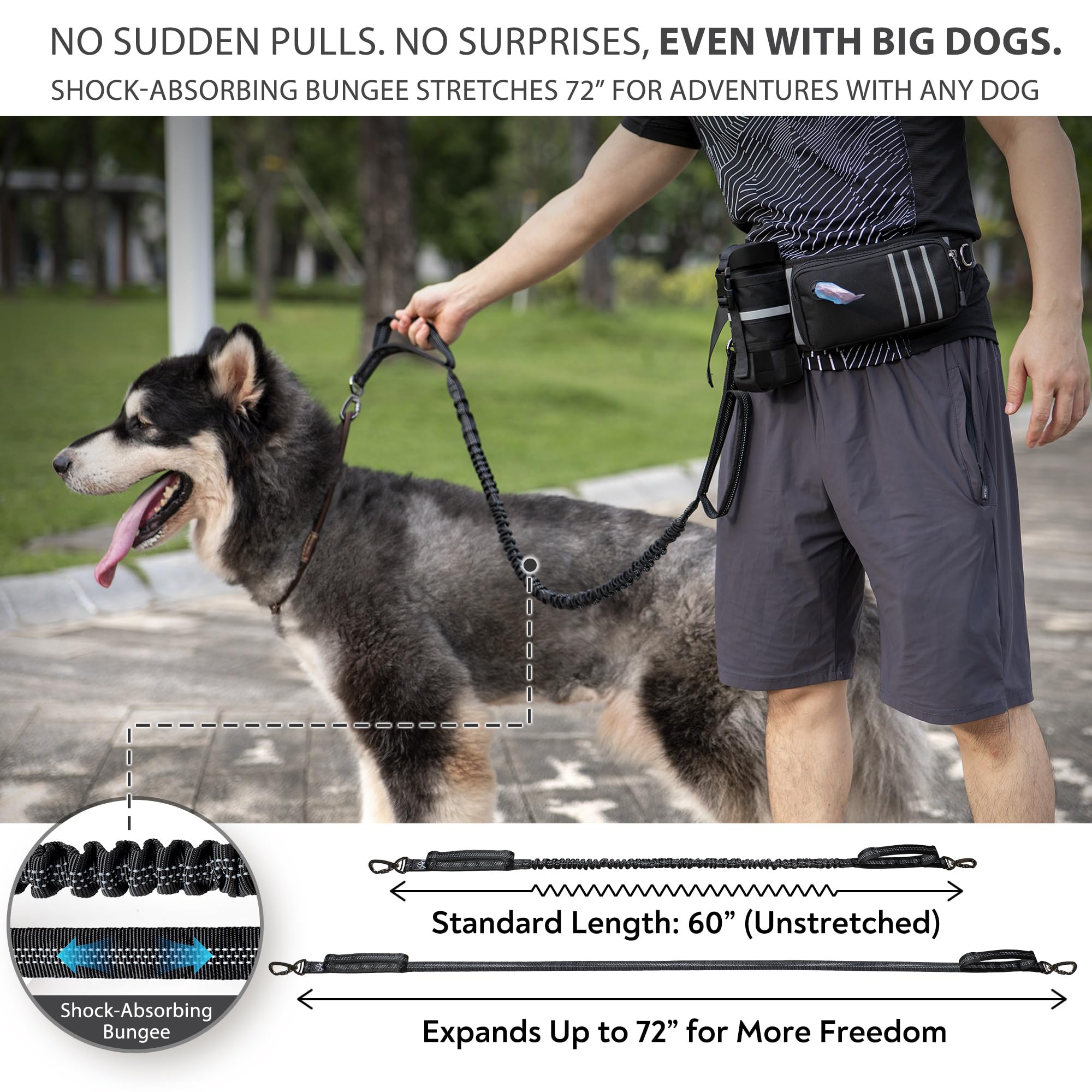 PetVenture Ultimate Safety Leash dual handles enable quick control in traffic