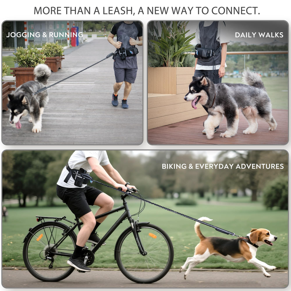 PetVenture Ultimate Safety Leash waist belt shows adjustable fit with convenient storage