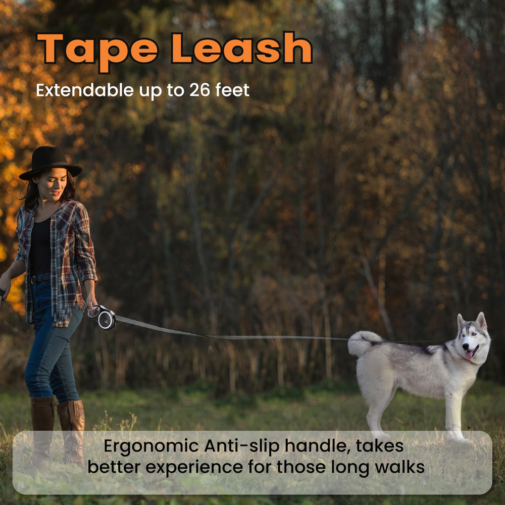 PetVest leash supports urban walks with flexible range and reliable control.