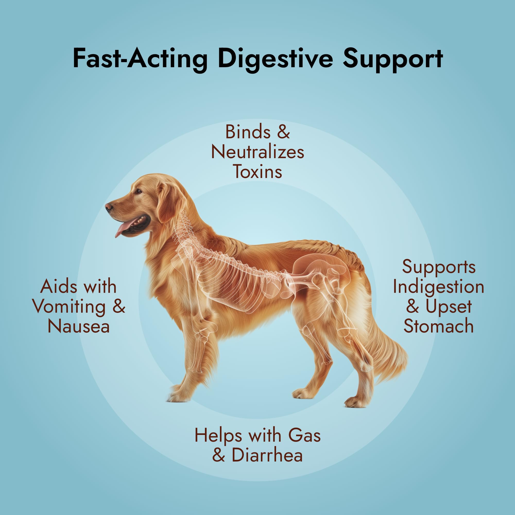 PetVet Medic charcoal gel dosing close-up for easy, mess-free administration for pets