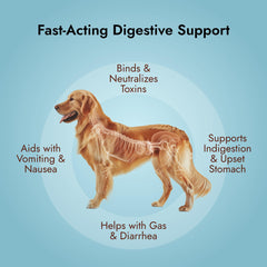 PetVet Medic charcoal gel dosing close-up for easy, mess-free administration for pets