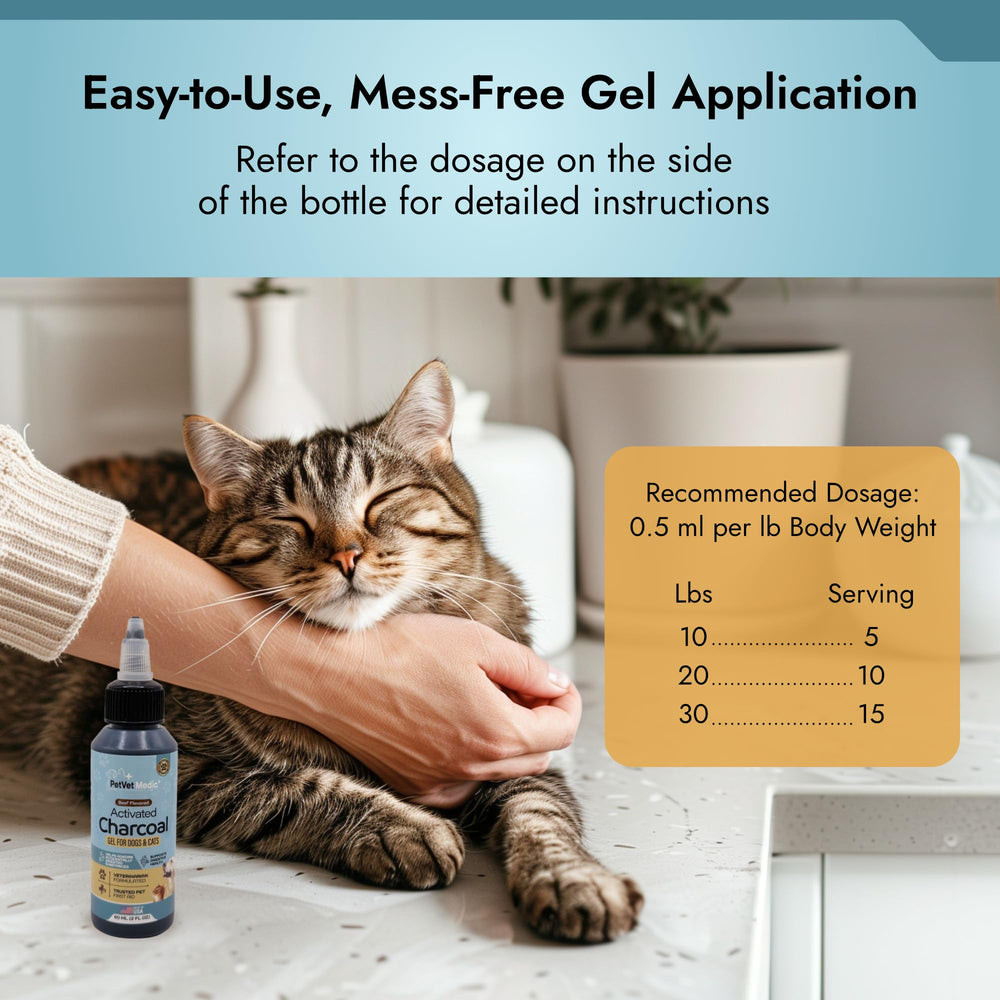 PetVet Medic gel texture close-up highlighting smooth, fast-acting relief potential