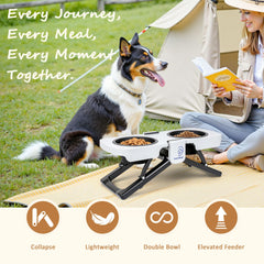 Petvillage elevated feeding stand setup for comfortable dog dining.