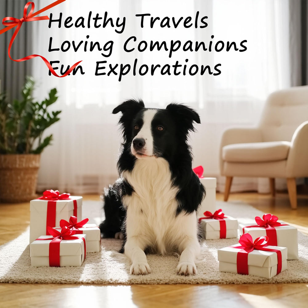 Petvillage packaging presents a stylish gift-ready dog dining accessory.