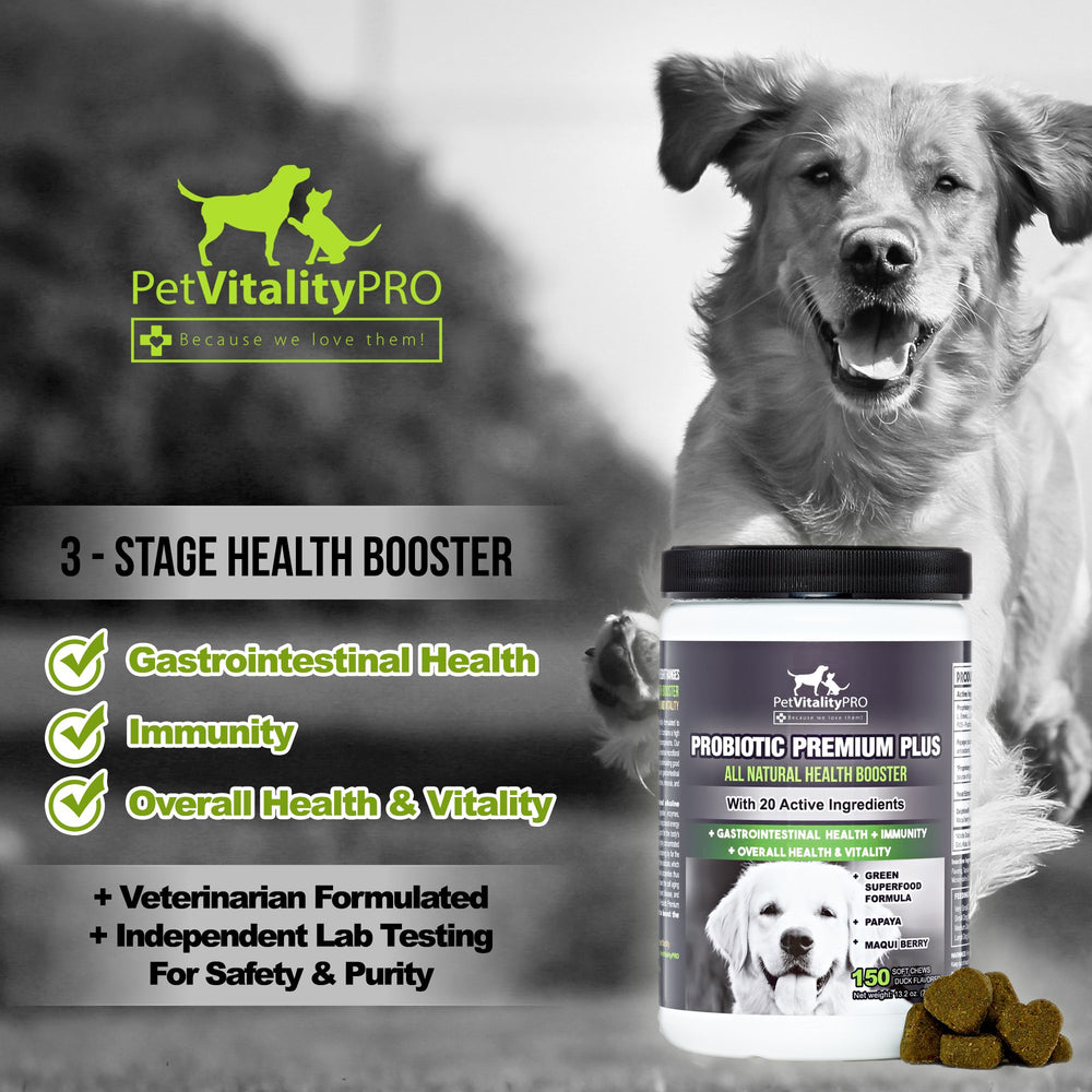 PetVitalityPRO probiotics dog-eating chews demonstrates palatability and routine use.