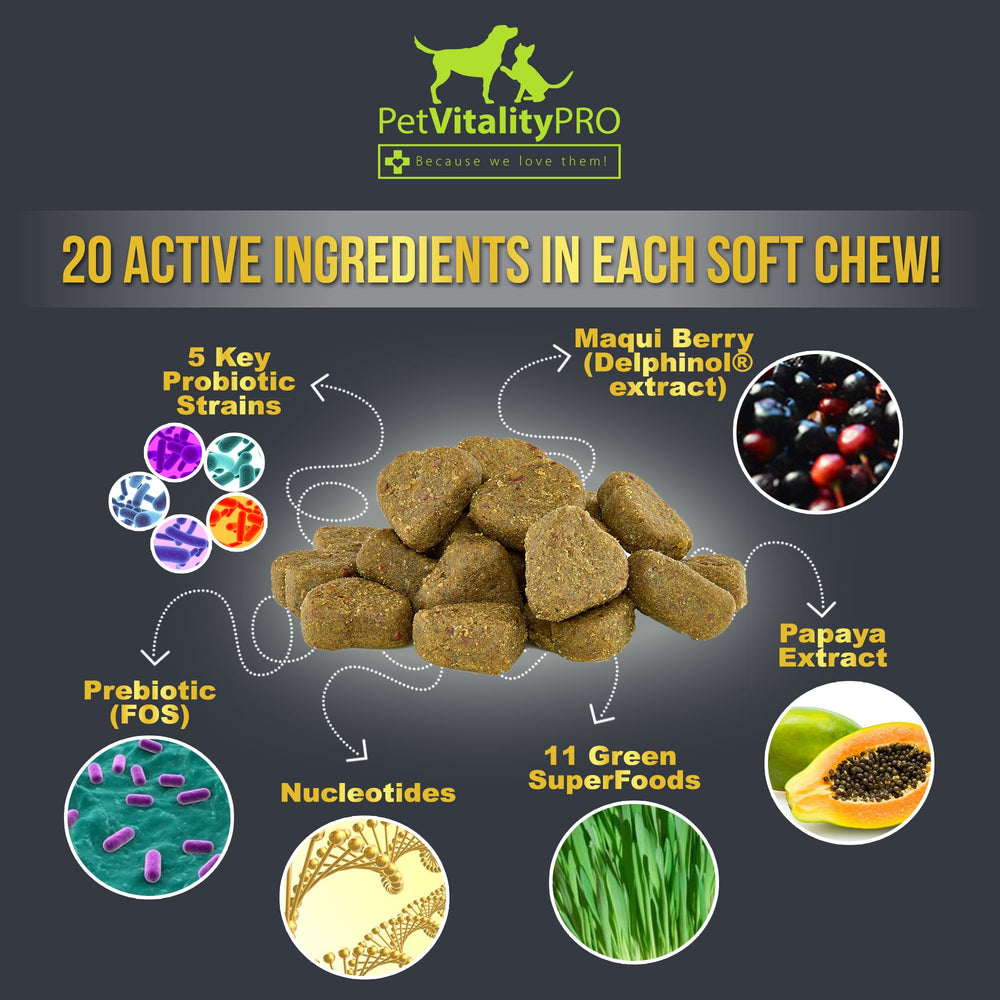 PetVitalityPRO probiotics puppies and aging dogs image shows life-stage usability.