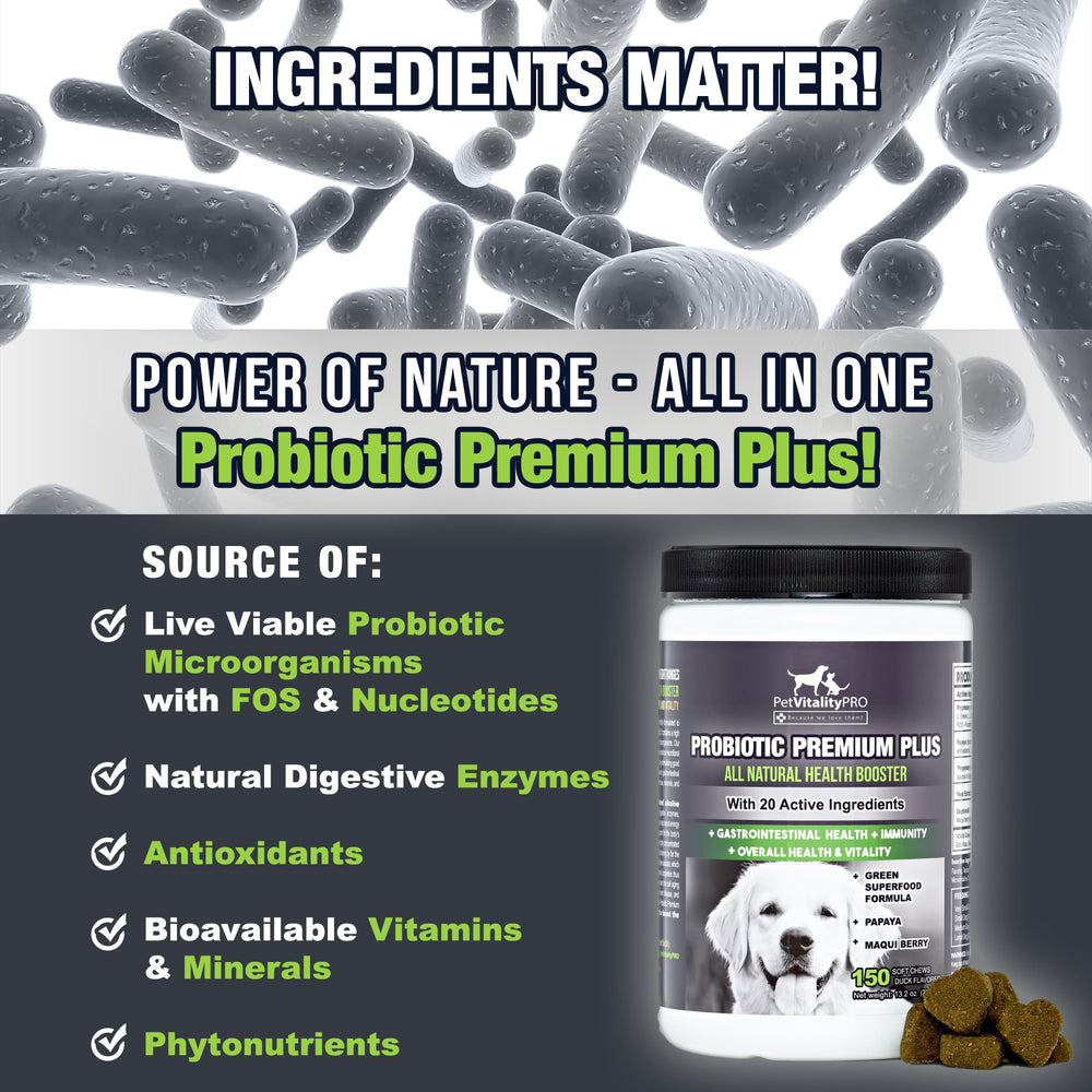 PetVitalityPRO probiotics soft chews closeup shows easy daily dosing.