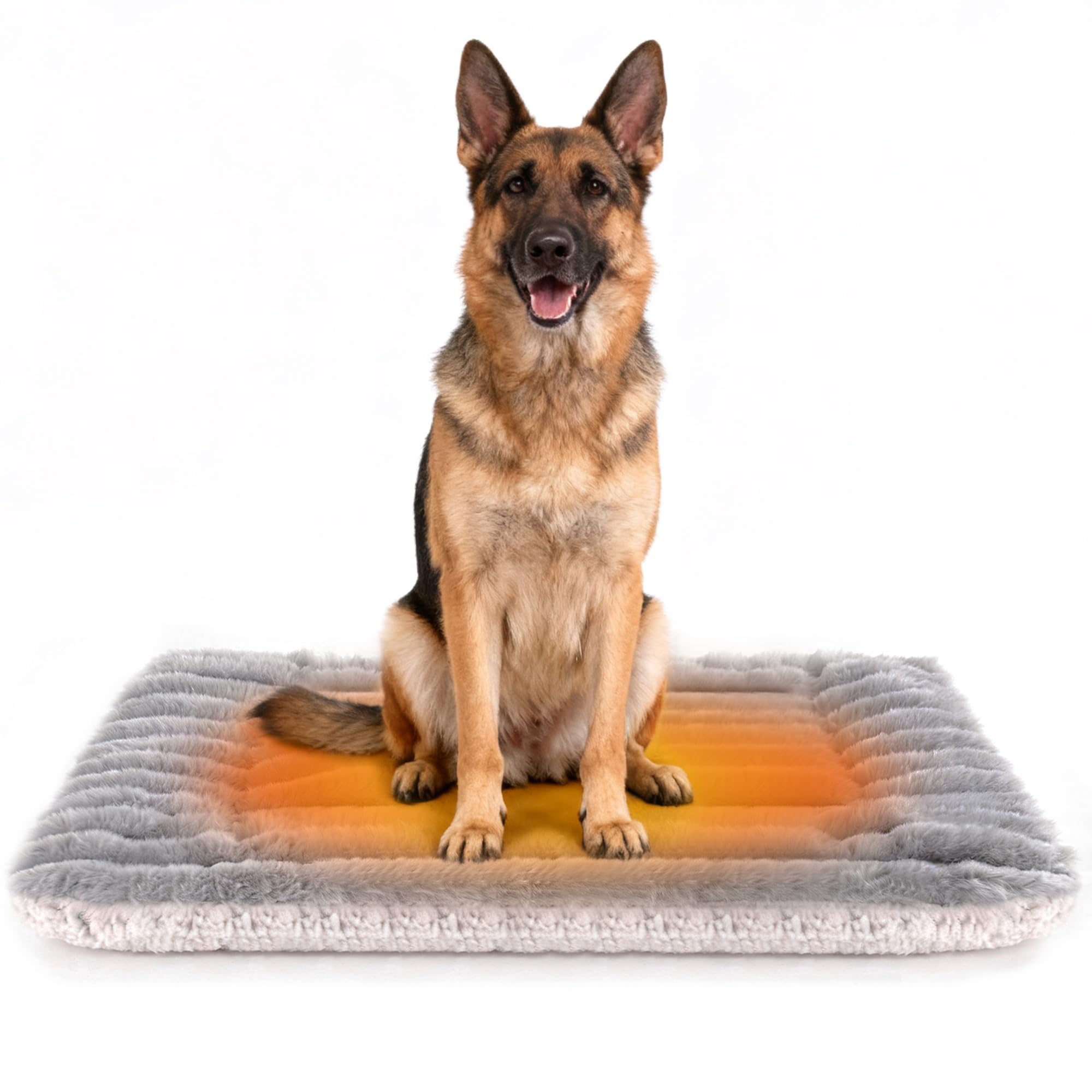 Petvolve cama auto-calentante con franela suave en la base, ideal para siestas en casa.