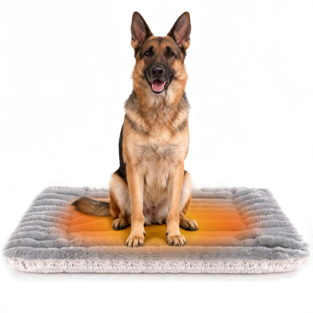 Petvolve cama auto-calentante con franela suave en la base, ideal para siestas en casa.