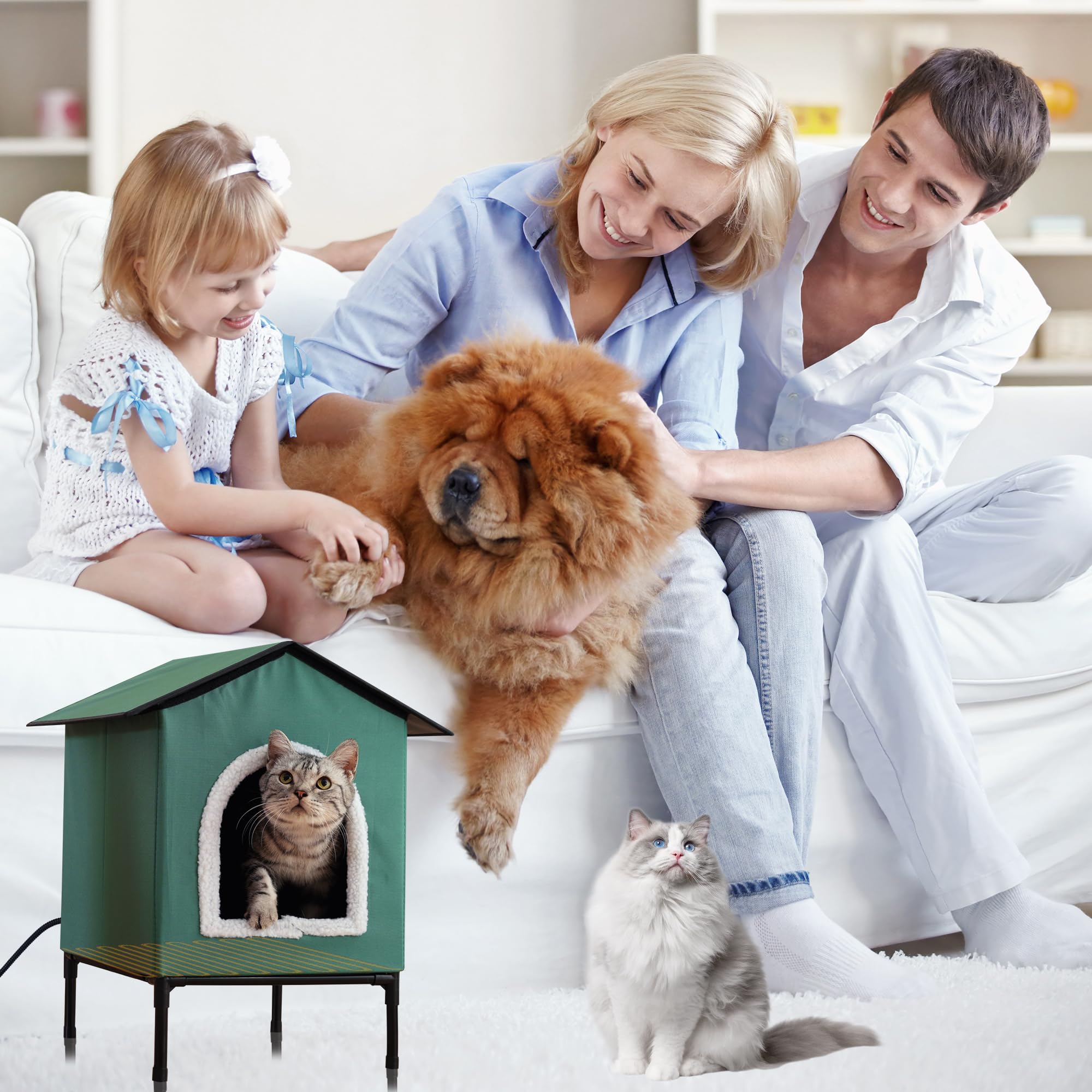 Petvolve heated cat house tool-free assembly and portable design.