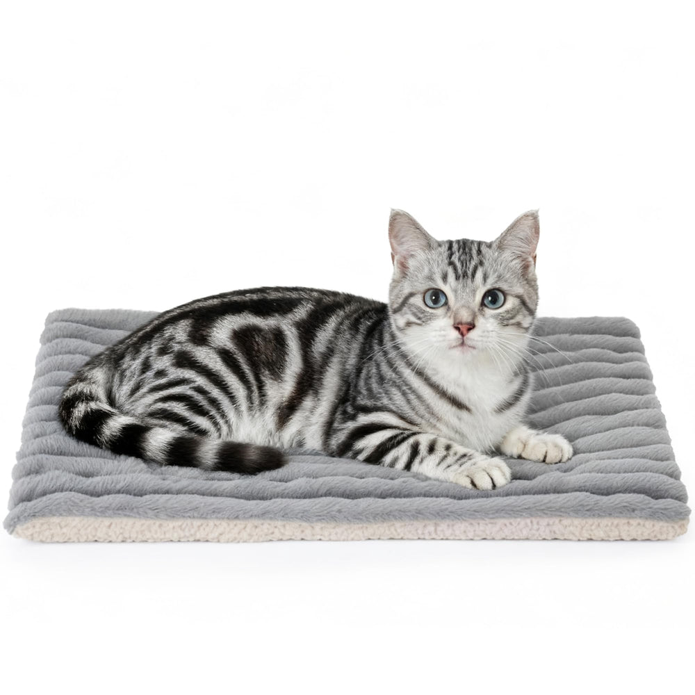 Petvolve Self Warming Bed dual-sides setup for versatile lounging
