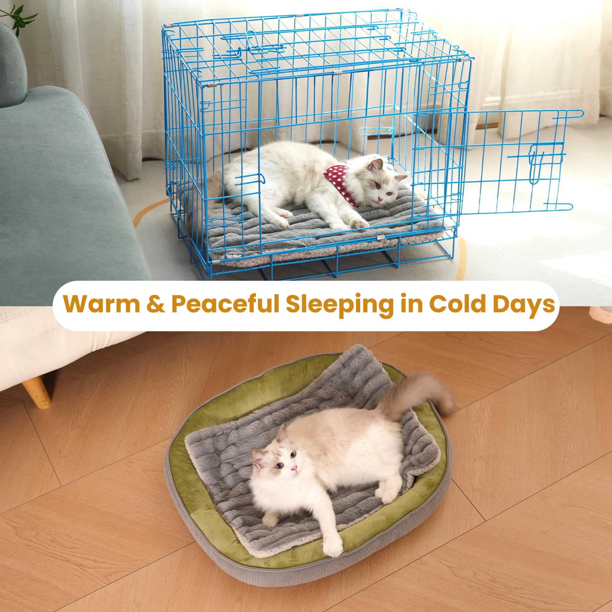 Petvolve self-warming cat bed – indoor/outdoor versatility keeps pets warm anywhere.