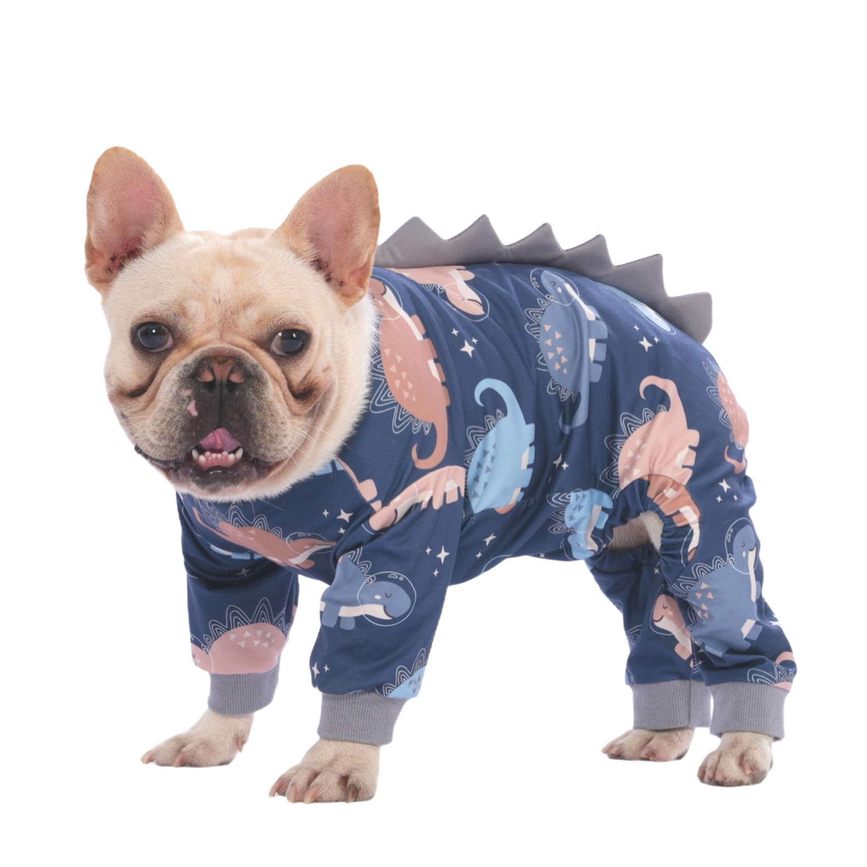 PetWarm dinosaur-print dog pajamas in black for all-season wear during daily walks.
