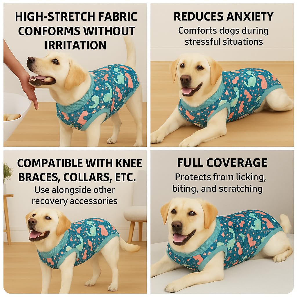 PetWarm spay/neuter recovery suit substitutes cone for post-surgery care