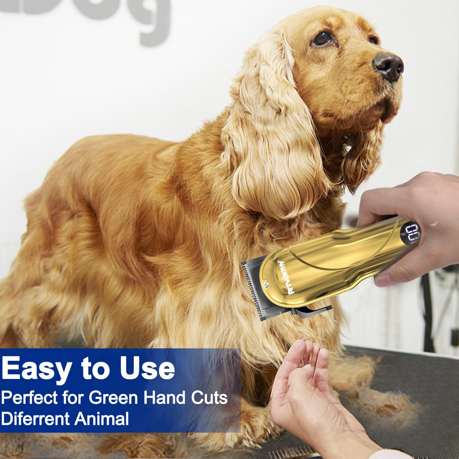 PETWORTHY quiet-dog-grooming-kit-accessories-included highlights complete tools for grooming and maintenance.