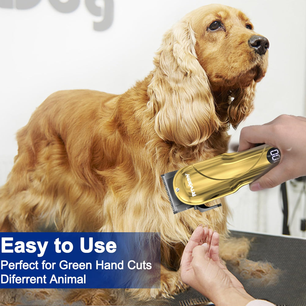 PETWORTHY quiet-dog-grooming-kit-accessories-included highlights complete tools for grooming and maintenance.