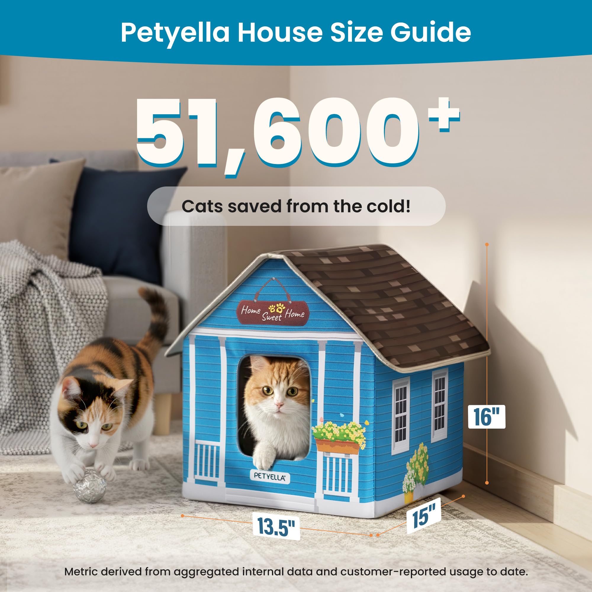 PETYELLA weatherproof exterior close-up shows water resistance against rain.