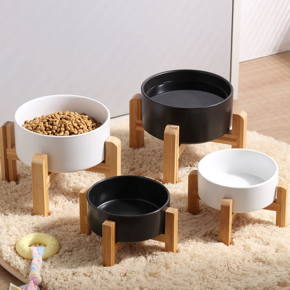 Petygooing 1.7-cup capacity bowl keeps portions steady for small pets