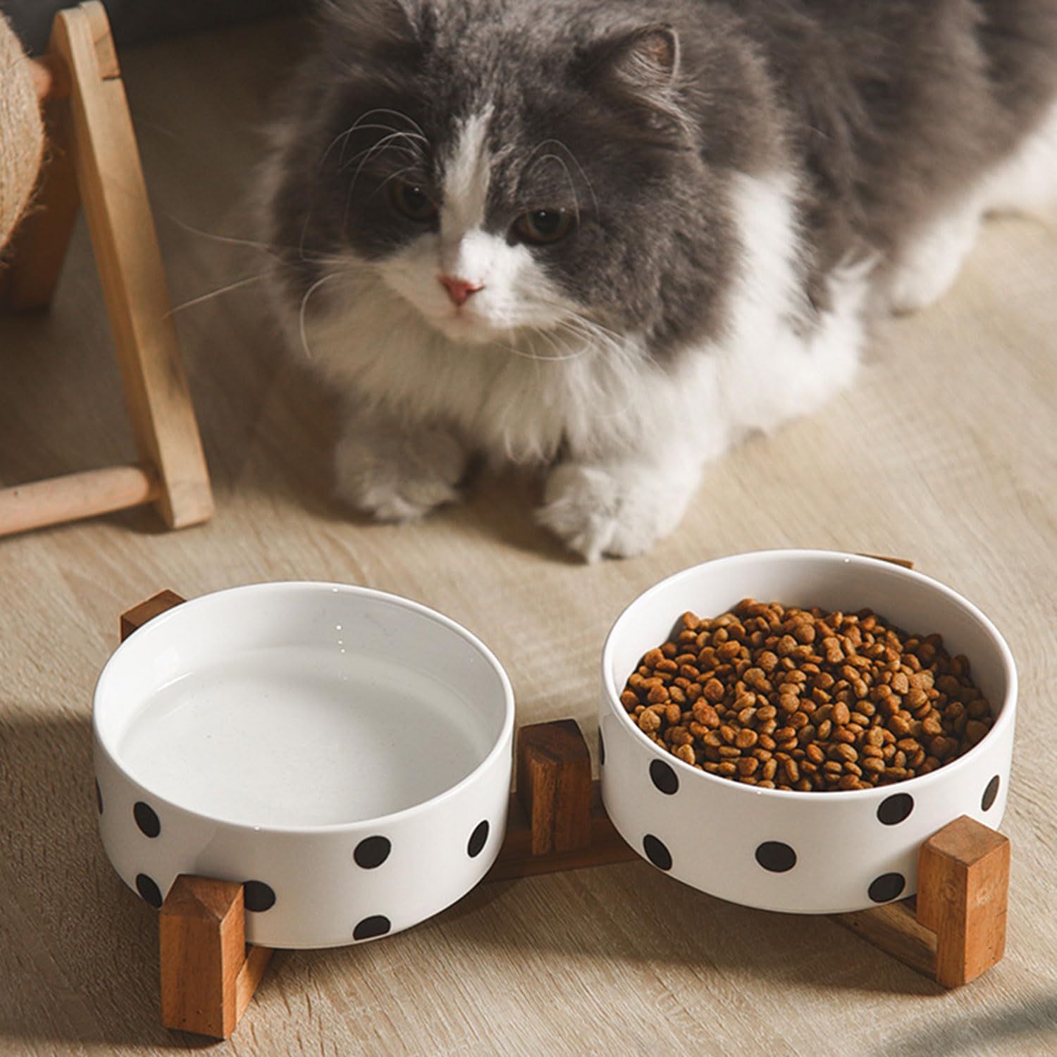 Petygooing microwave-safe bowls ideal for warming pet meals.
