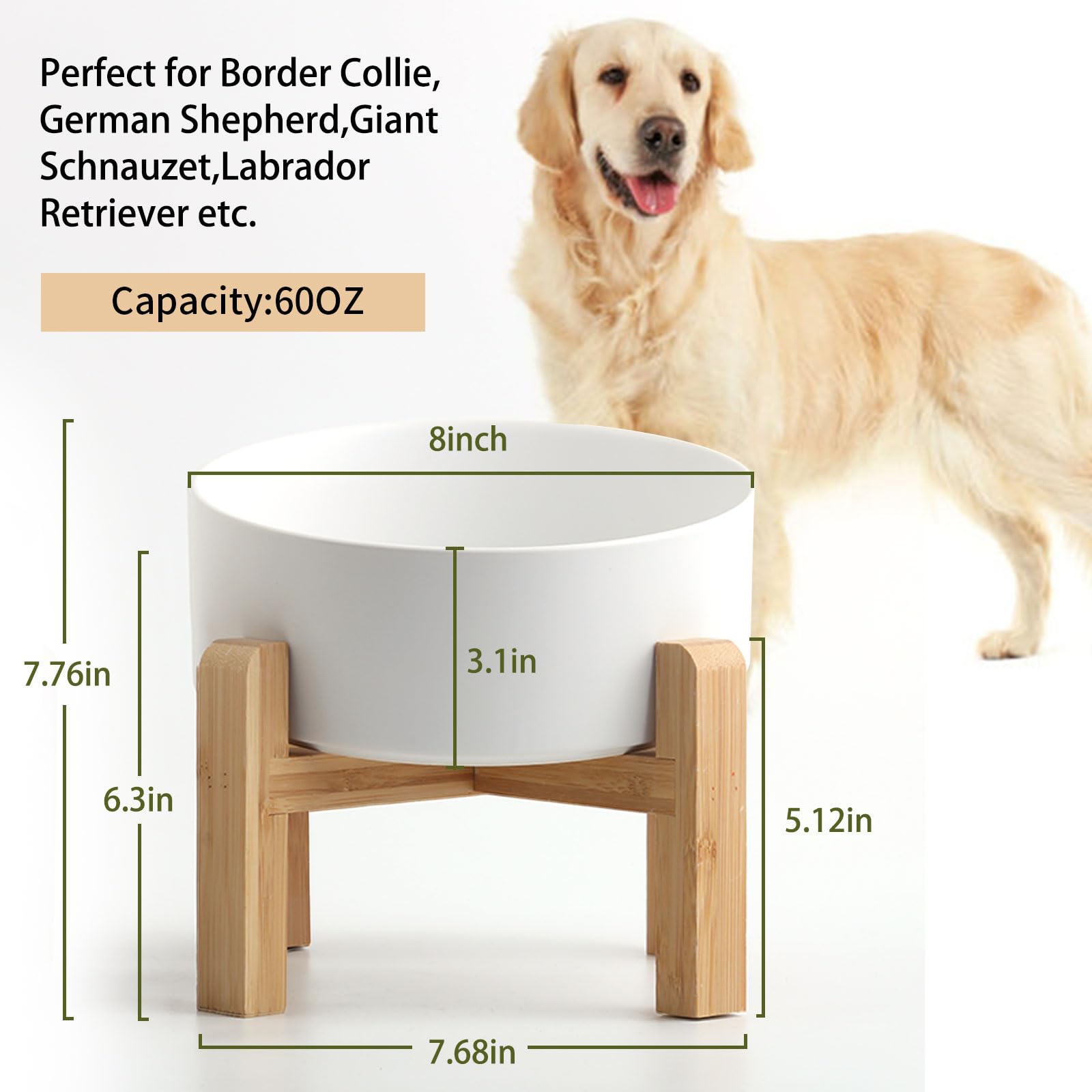 Petygooing ceramic dog food bowl highlights durable porcelain and easy cleaning.