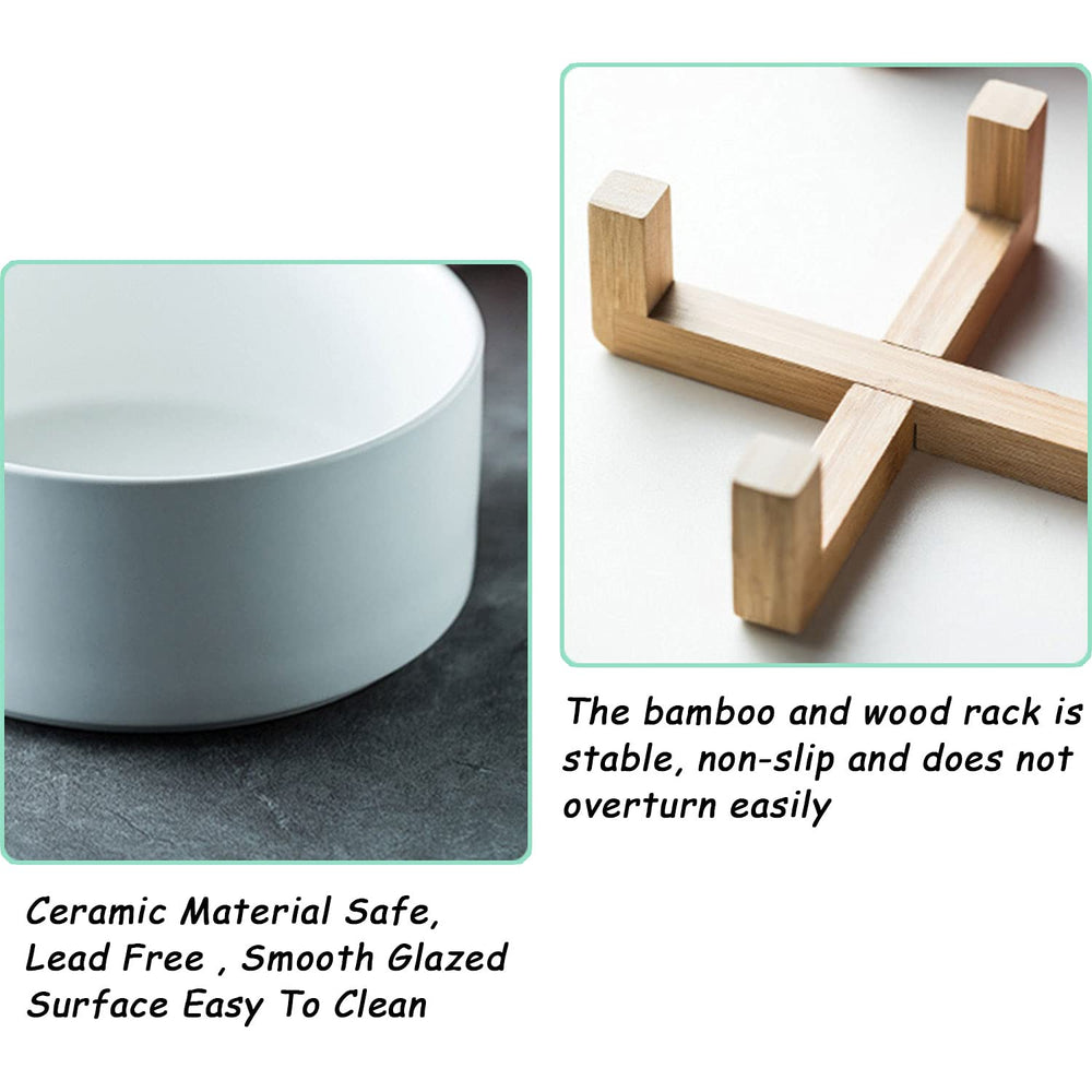 Petygooing decorative pet bowls brighten feeding area