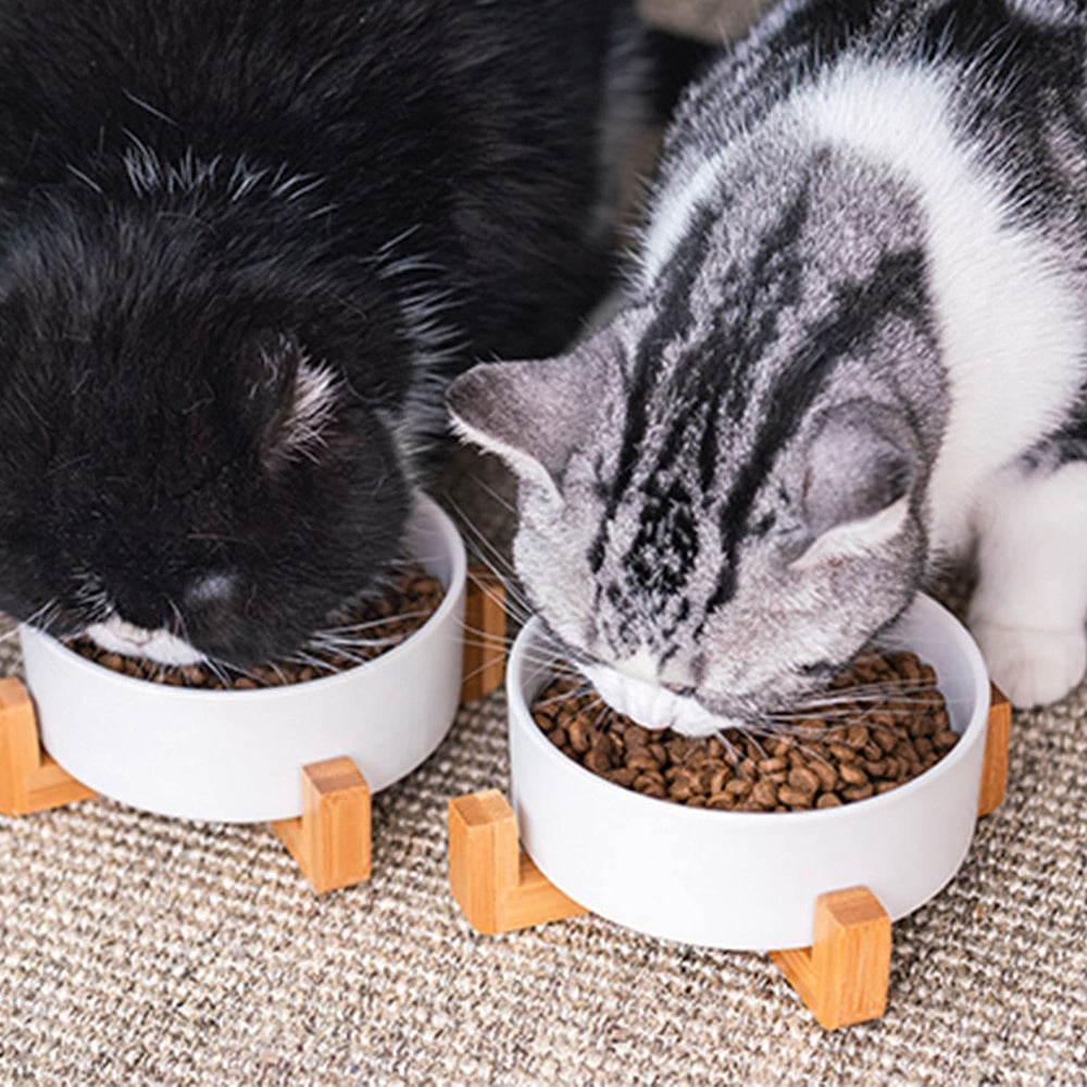 Petygooing double bowl design provides food and water options