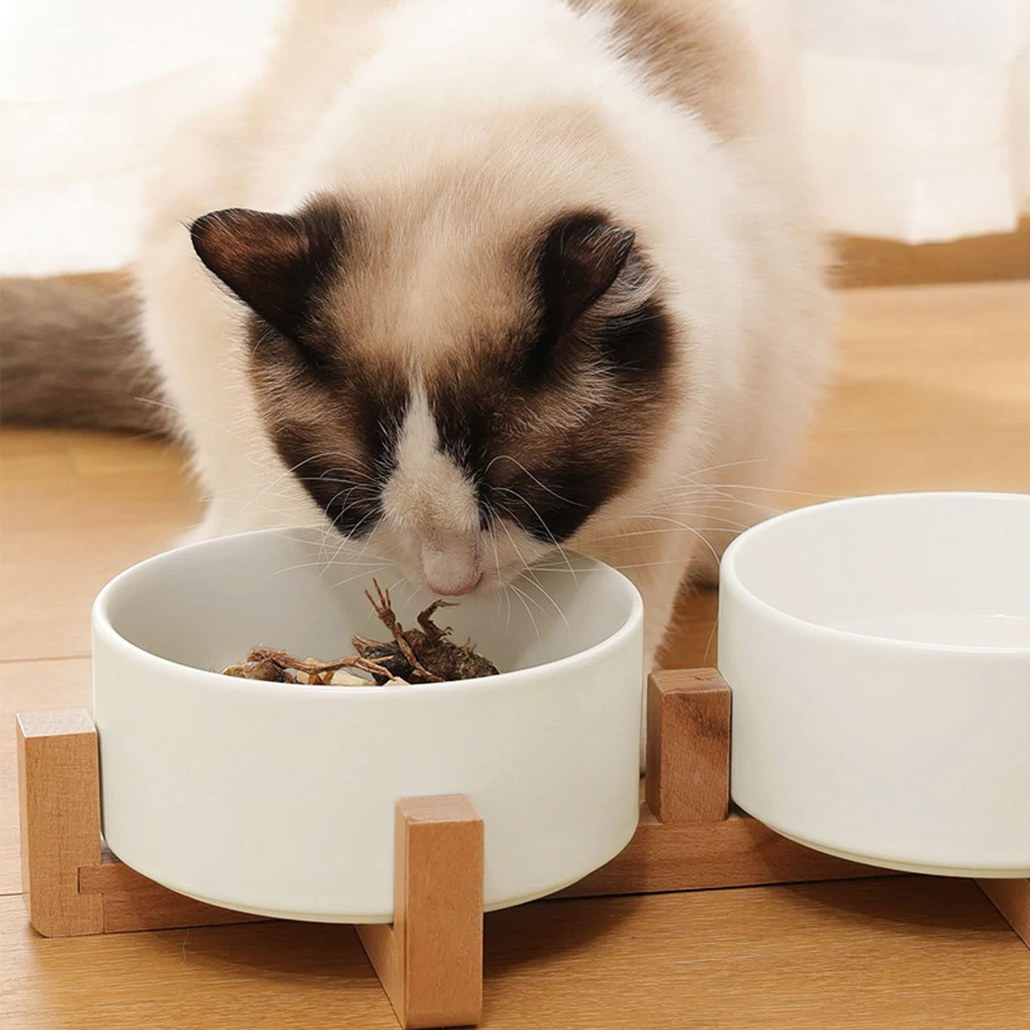 Petygooing pet mealtime duo set elevates dining while reducing clutter.