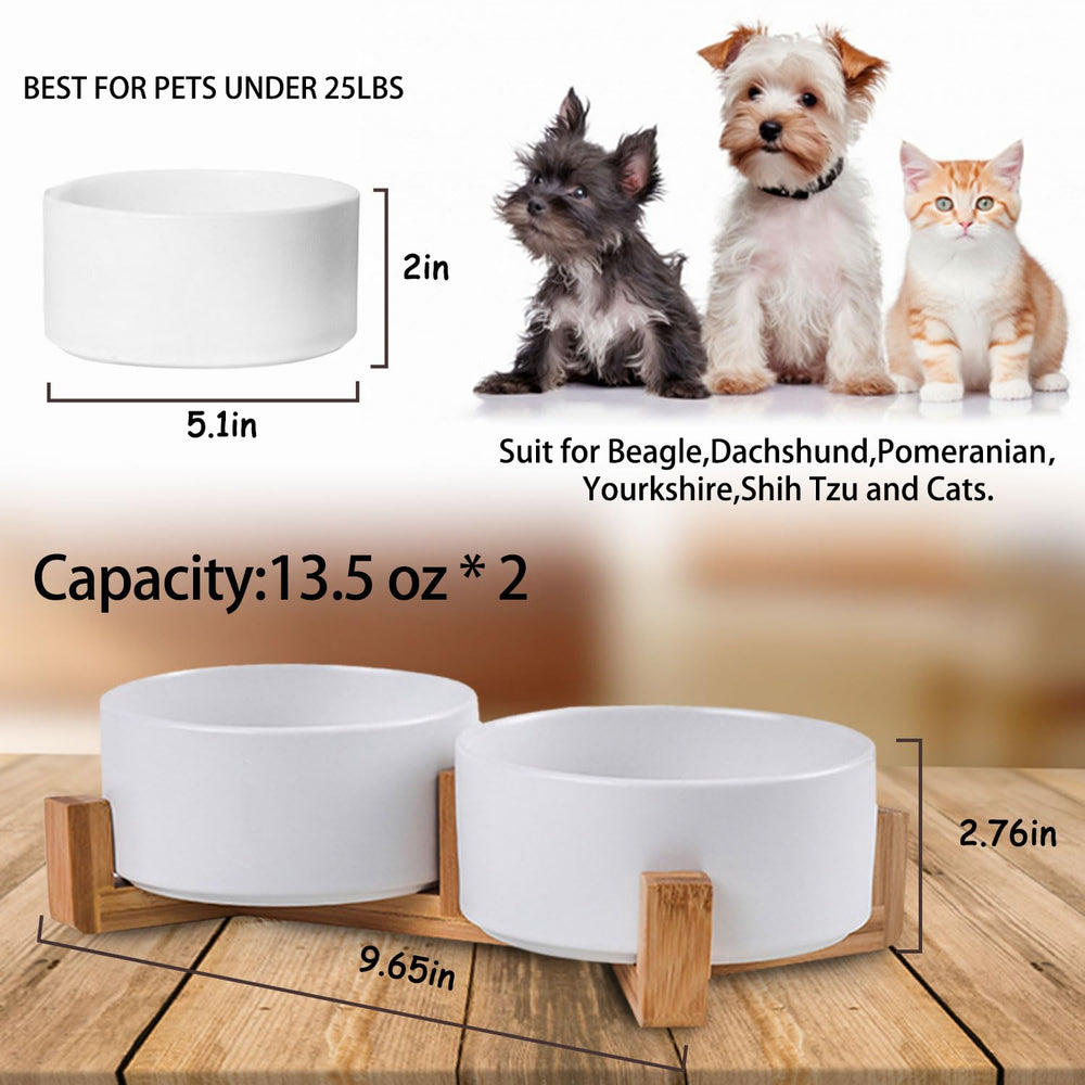 Petygooing white ceramic bowls close-up highlights high-temperature, non-toxic porcelain.