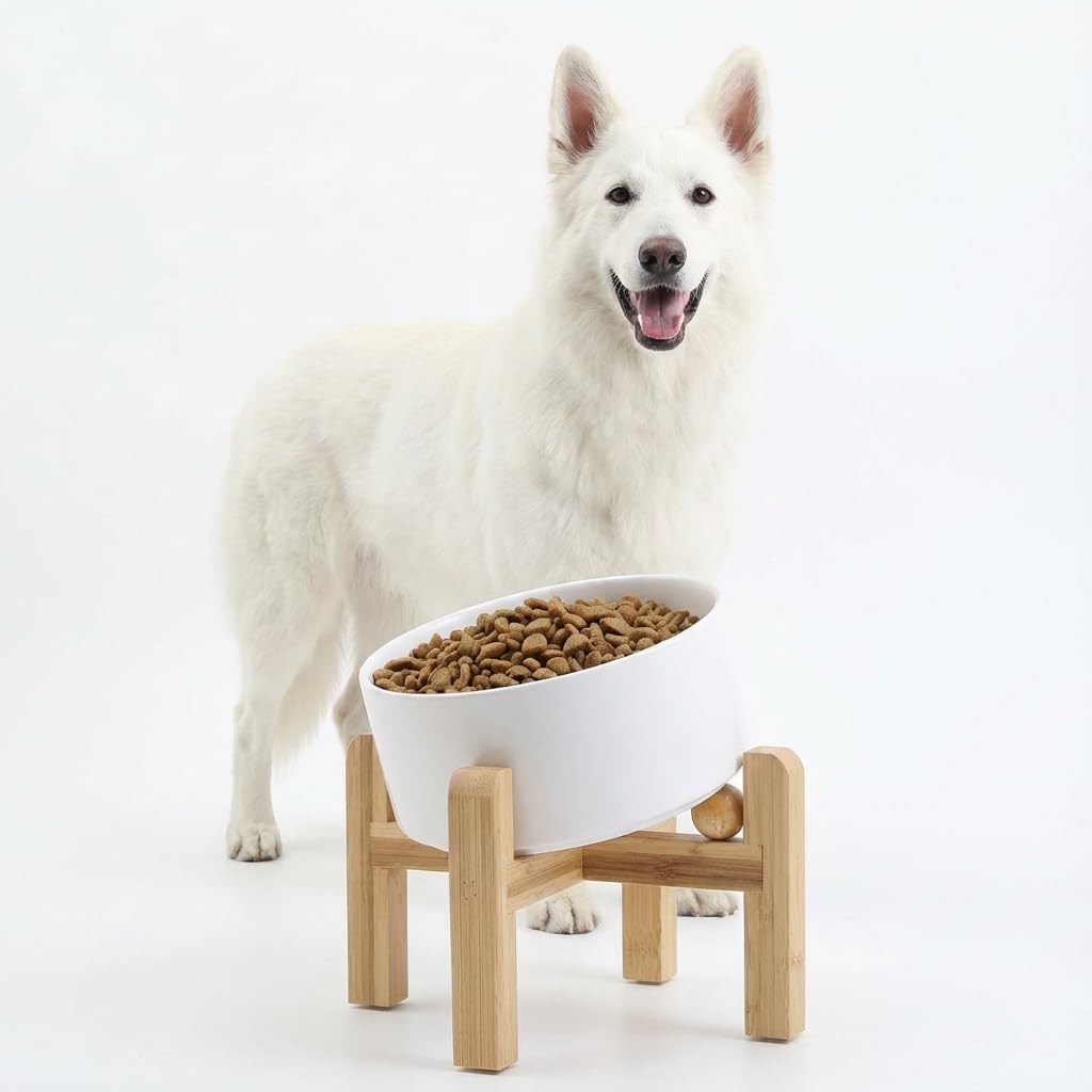 Petygooing white elevated tilted bowl on wood stand for ergonomic feeding and anti-slip stability.