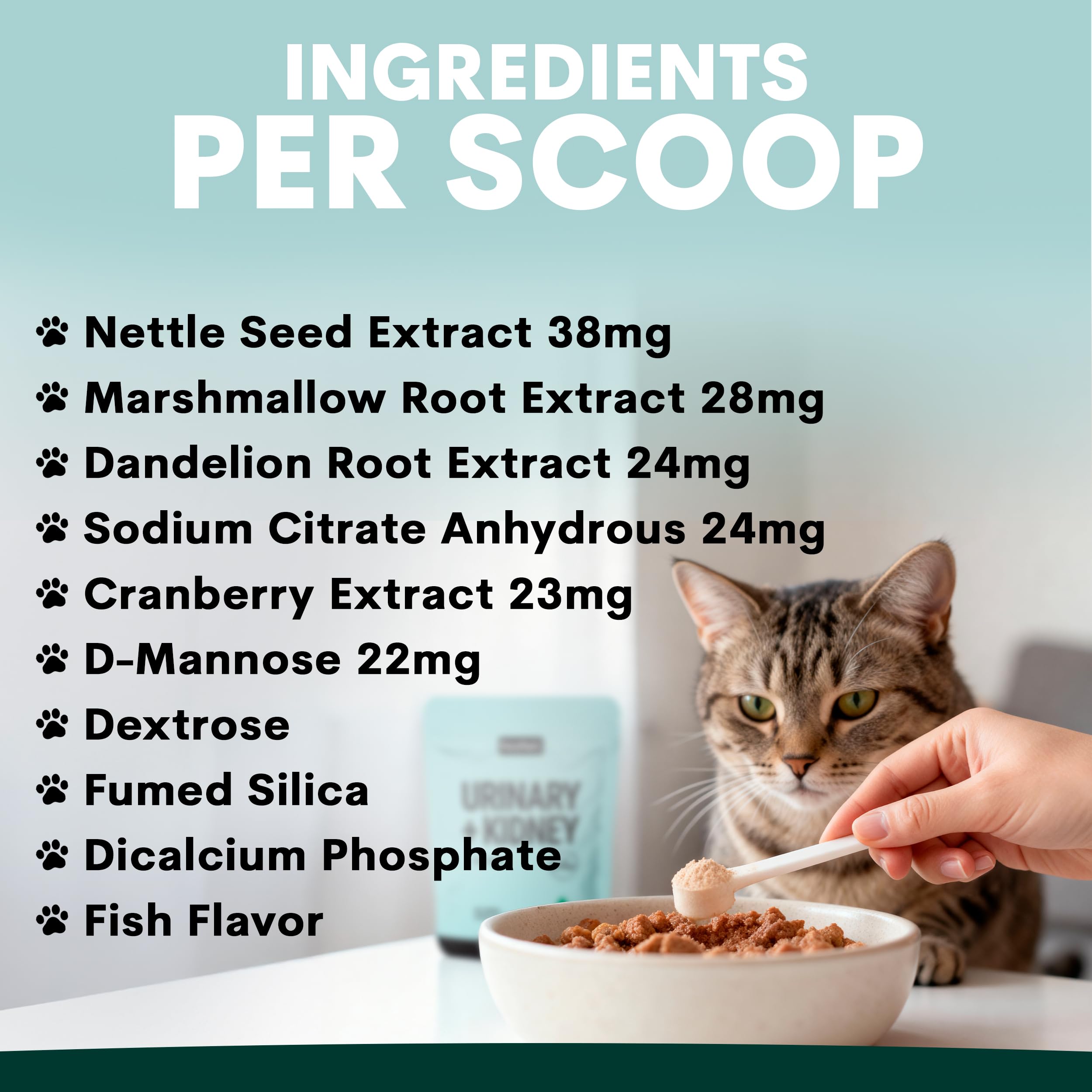 Petz Park cat-mealtime-scene shows powder added to food for daily urinary support.