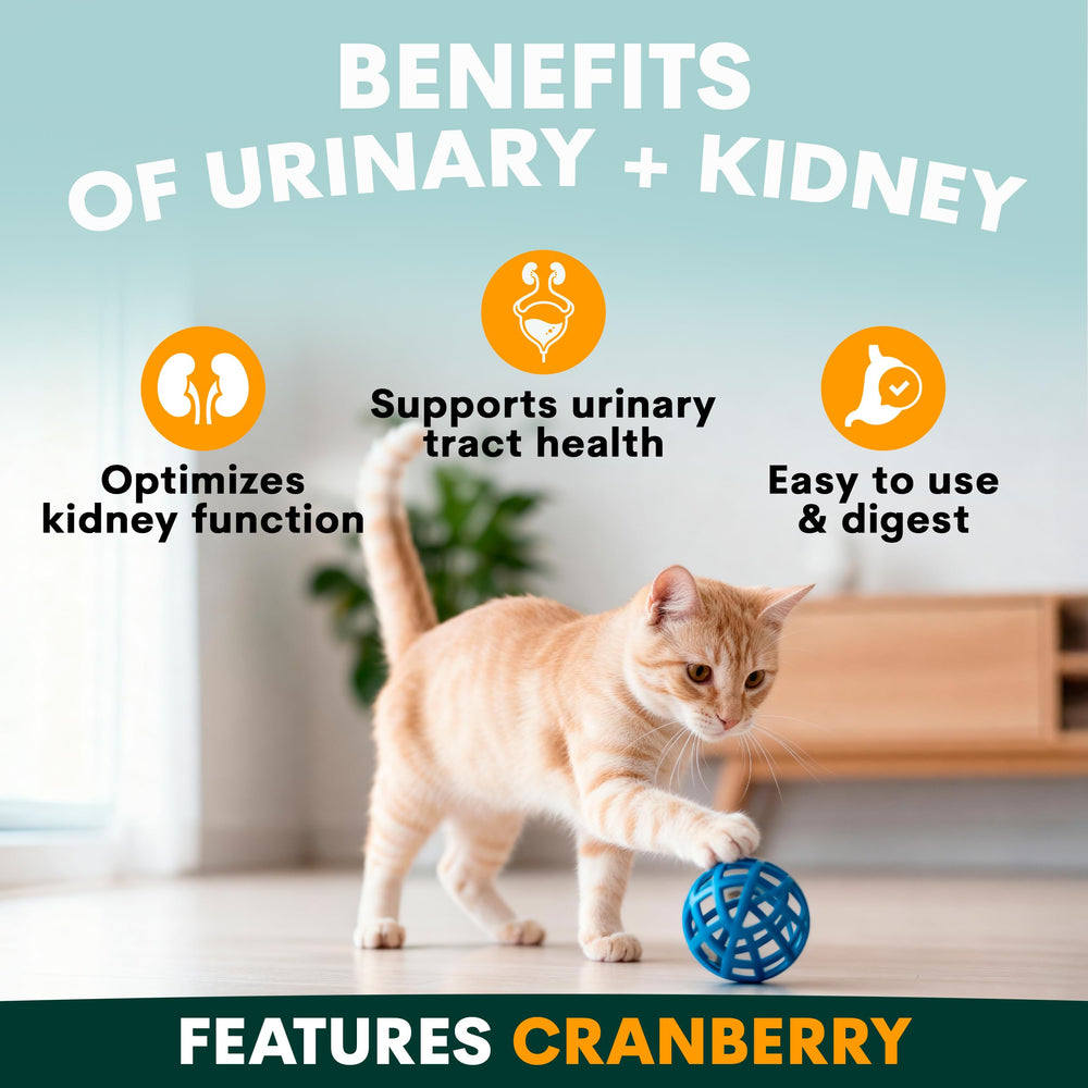 Petz Park cranberry-dmannose-nettle-seed powder for cats supports urinary tract health.