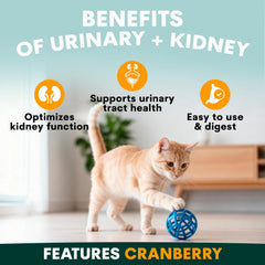 Petz Park cranberry-dmannose-nettle-seed powder for cats supports urinary tract health.