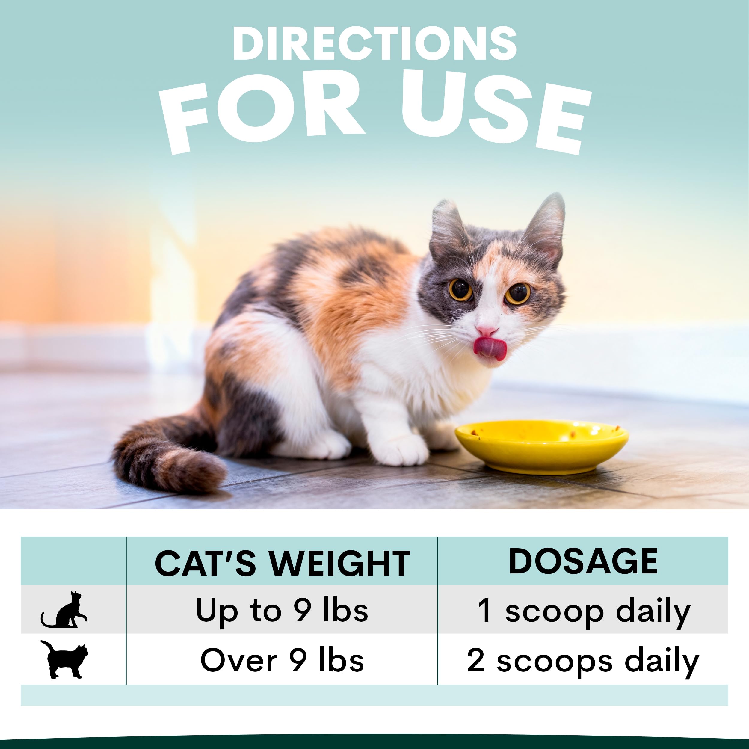 Petz Park kidney-function-support-graphic highlights kidney health benefits for aging cats.
