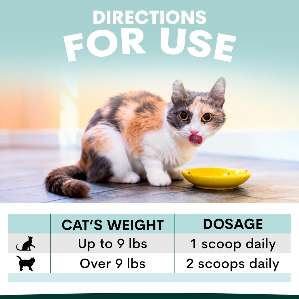 Petz Park kidney-function-support-graphic highlights kidney health benefits for aging cats.