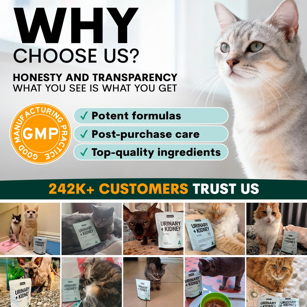 Petz Park label-closeup highlights natural ingredients and safe cat care.
