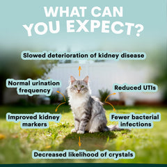 Petz Park sprinkle-on-powder on cat food for easier daily administration.