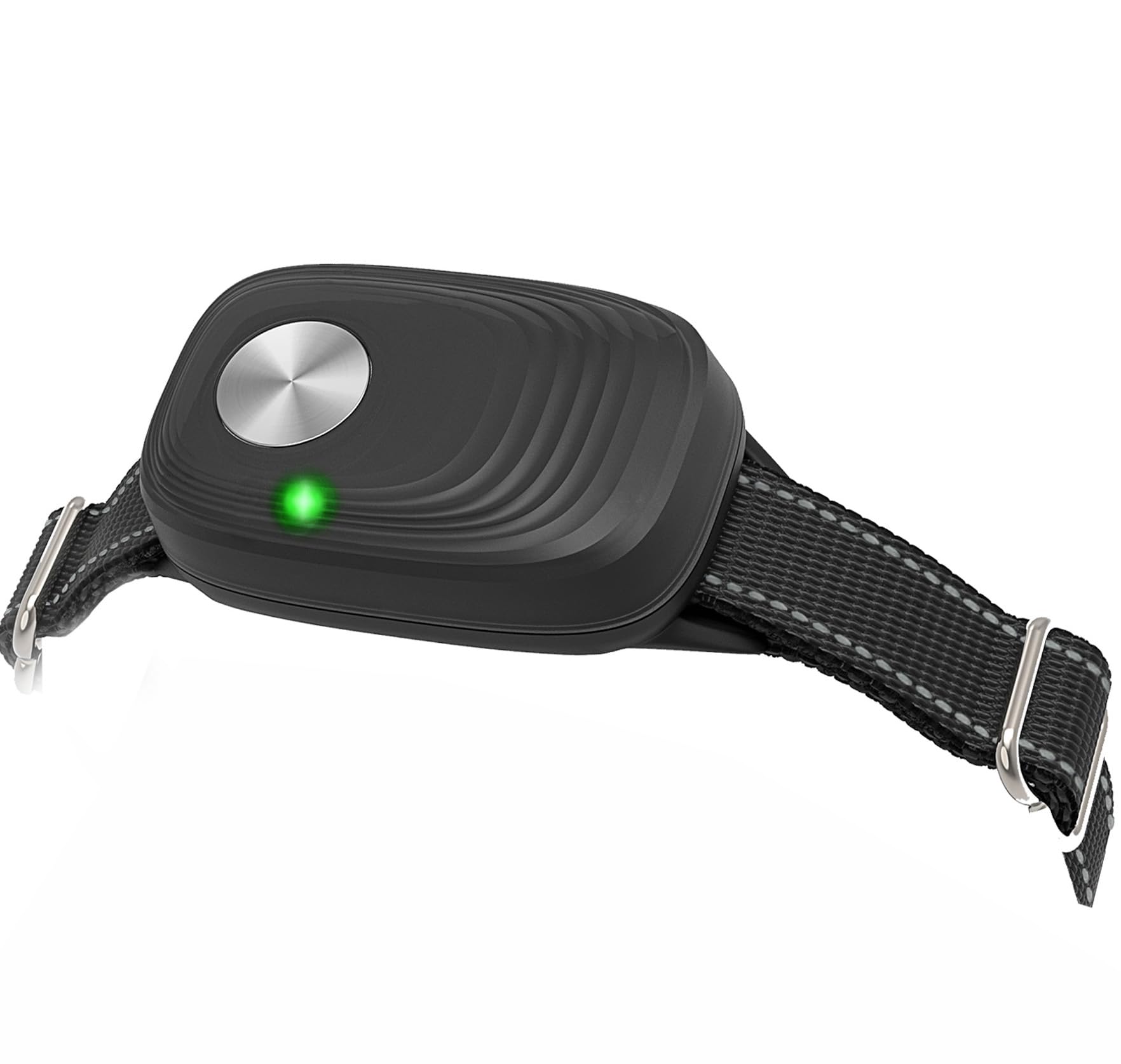 PETZEE automatic door collar on a dog shows secure fit for active pets