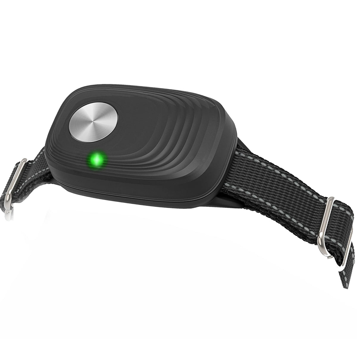 PETZEE automatic door collar on a dog shows secure fit for active pets
