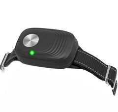 PETZEE automatic door collar on a dog shows secure fit for active pets