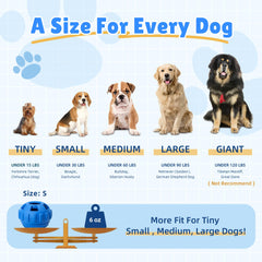 PetZee enrichment toy 4-grid mold for DIY lick-treats.