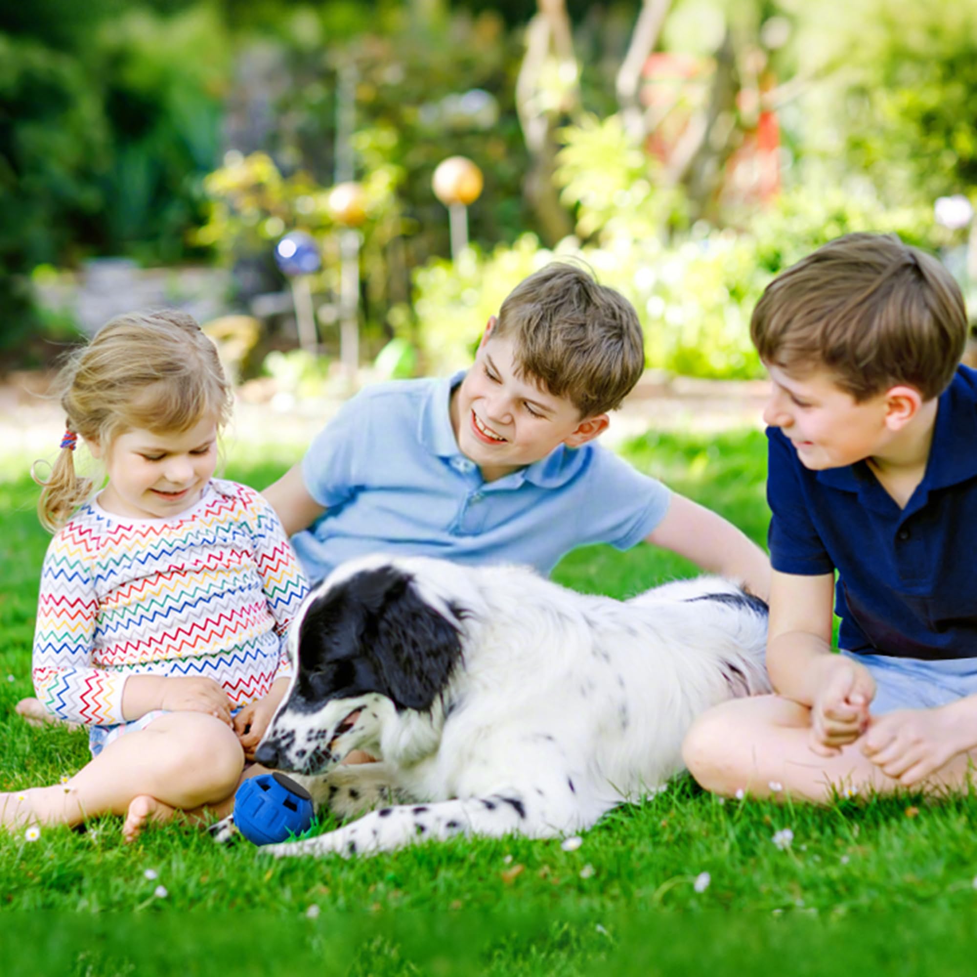 PetZee navy natural rubber toy closeup in vibrant color.
