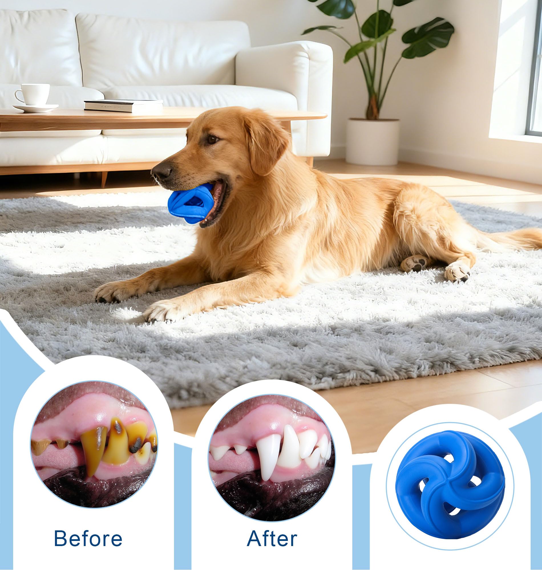 PetZee Indestructible Toy is dishwasher safe for quick cleaning after adventures.